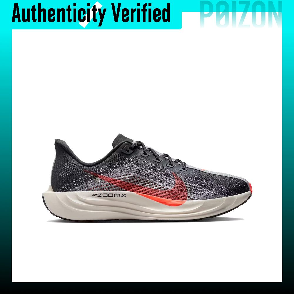 Кроссовки Nike Pegasus Plus Br – обзор и цена Men'S Shoes Zoomx